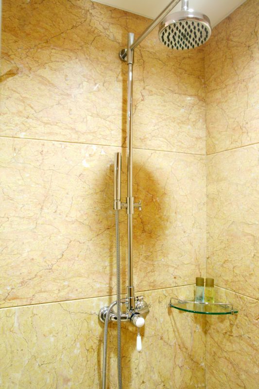 Multi-Head Shower System